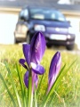 Thumbnail for version as of 06:02, 20 March 2011
