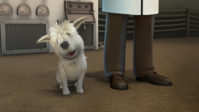 File:Films Belka Strelka HD (103315).jpg