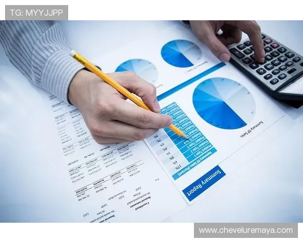 南宫ng娱乐网页版安全稳定性分析与用户体验提升