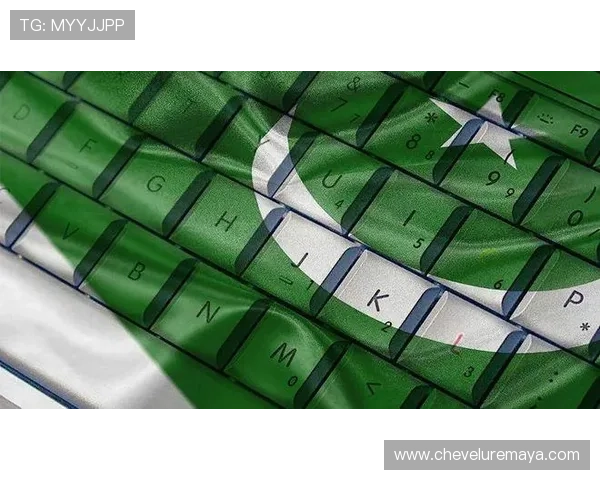 凯时在线注册平台如何利用社交媒体扩大品牌影响力 凯时在线注册平台如何利用社交媒体扩大品牌影响力