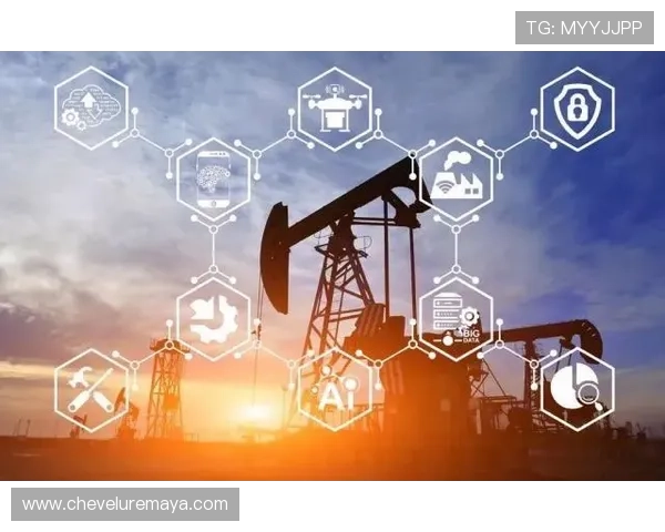 尊龙时凯中国集团未来发展规划与数字化转型路径分析 尊龙时凯中国集团未来发展规划与数字化转型路径分析