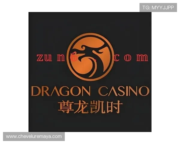 尊龙凯时地址登录入口最新官方入口全面更新，确保玩家安全顺畅体验